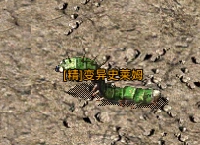 原始传奇精英怪物